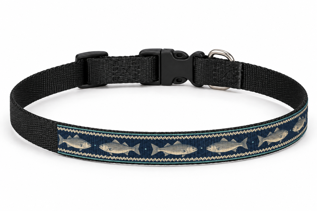 Fish'n Hour Clip-On Pet Collar fastened in a circle on a white background