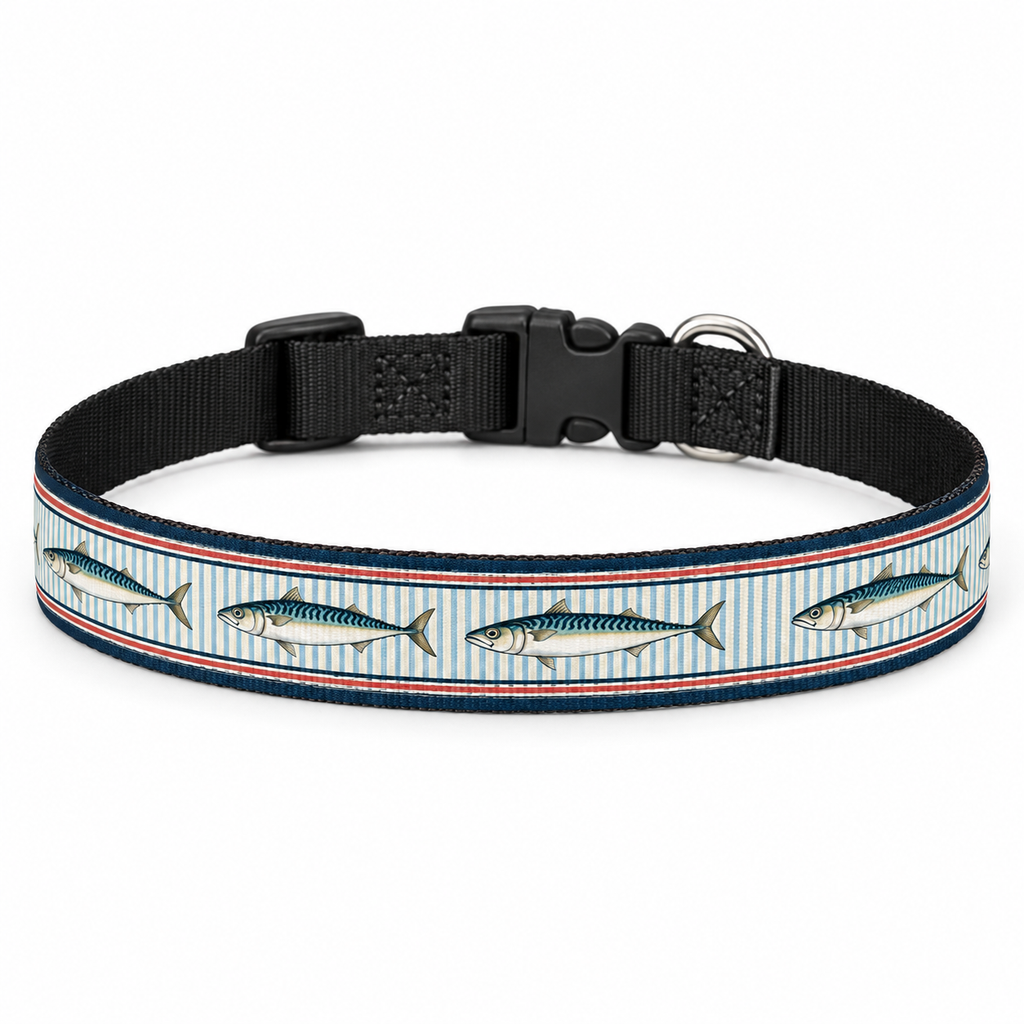 Mackerel Row Clip-On Pet Collar fastened in a circle on a white background